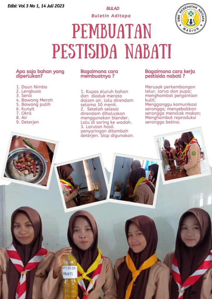 IMG 20250603 WA0011 1